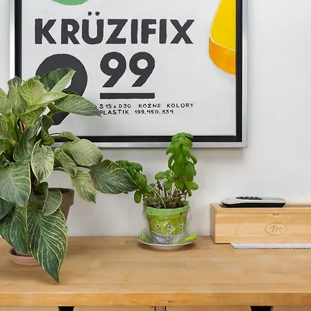 Podgorze Duchackie Standard * Kraków